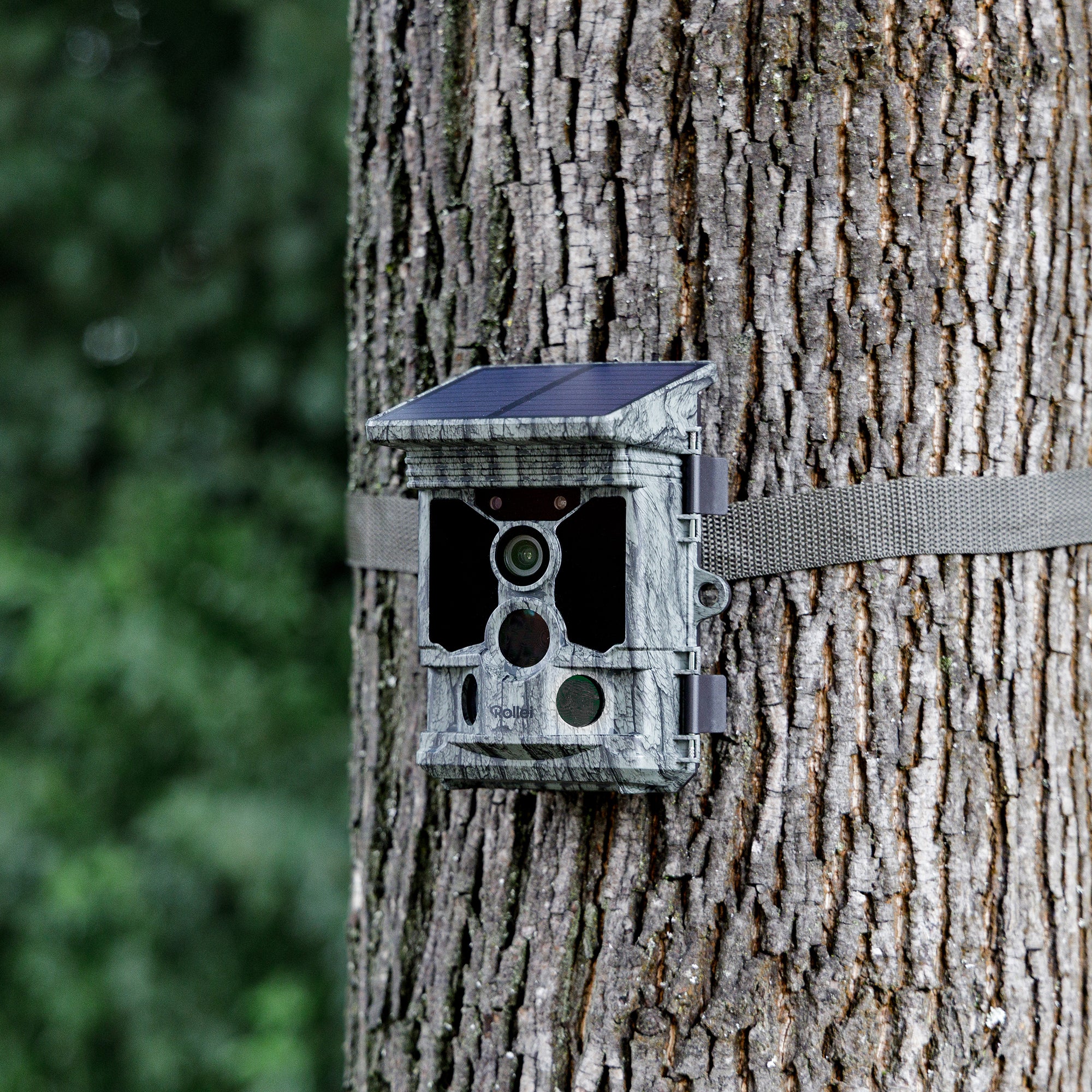 Wildkamera 4K WiFi Solar - Image 3